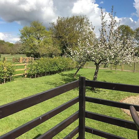 Maplehurst Barn Stables Staplehurst ภายนอก รูปภาพ