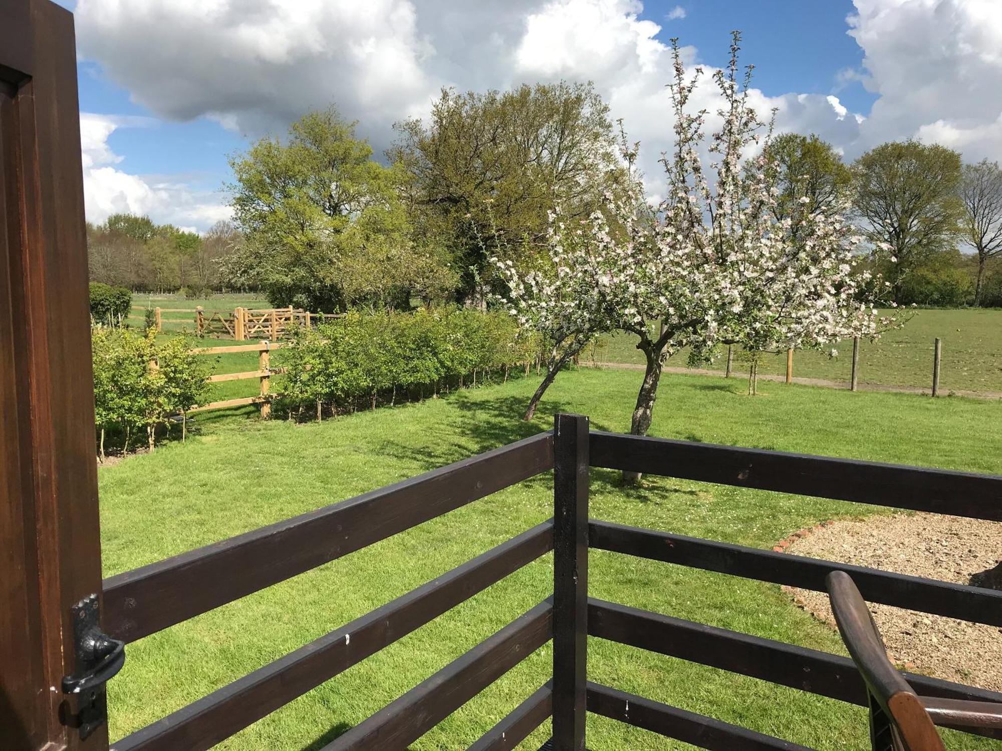 Maplehurst Barn Stables Staplehurst ภายนอก รูปภาพ