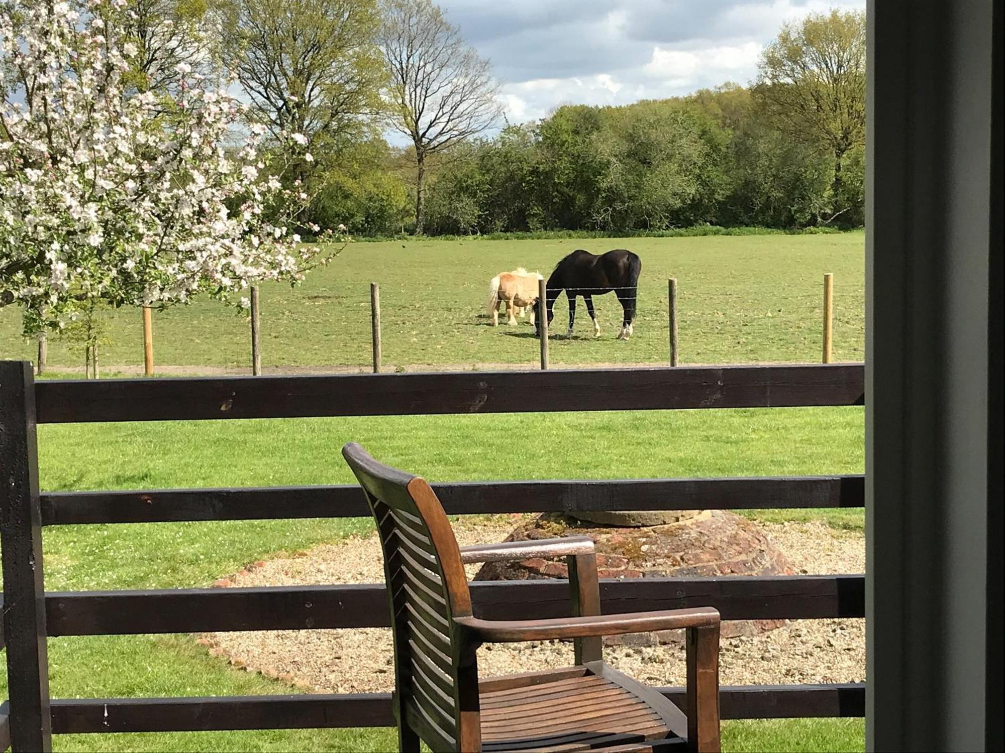 Maplehurst Barn Stables Staplehurst ภายนอก รูปภาพ
